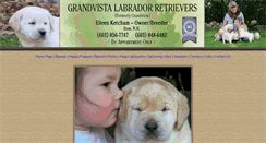 Desktop Screenshot of grandvistalabs.com